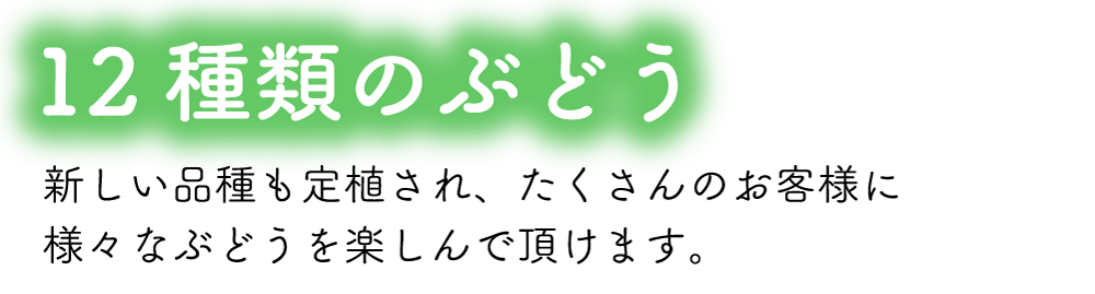 12種類のぶどう